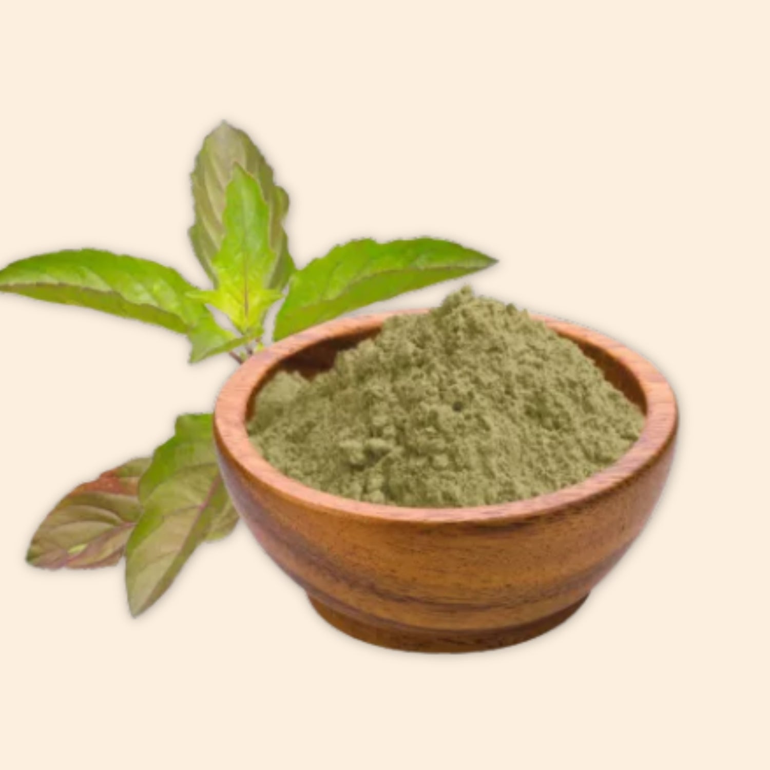 Shoprythm Cosmetic Raw Material Tulsi (Holy Basil) Powder Shoprythm Cosmetic Raw Material Tulsi (Holy Basil) Powder